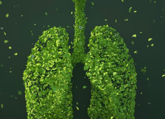 How does climate change actually affect lung health?