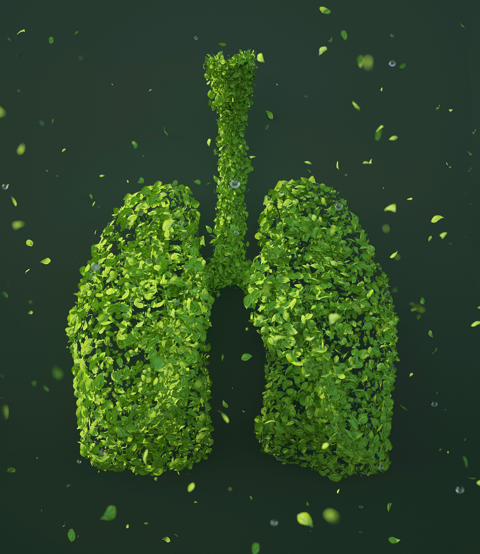 How does climate change actually affect lung health?
